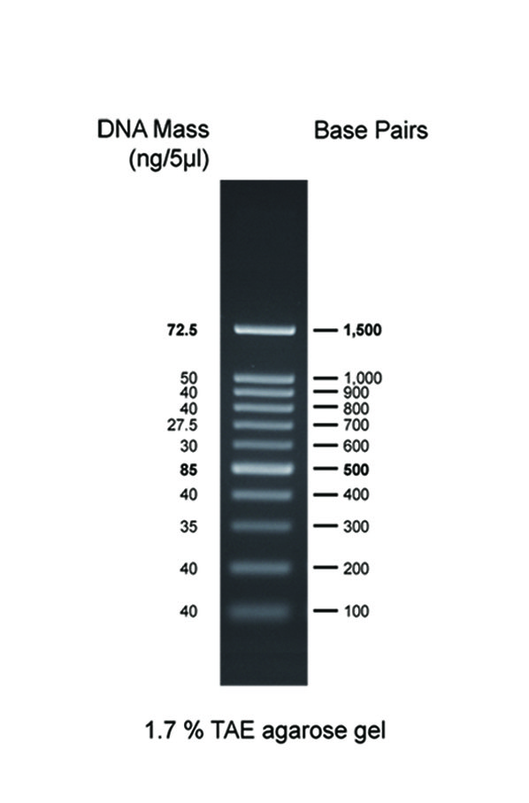 02001-500 AccuRuler 100bp DNA Ladder