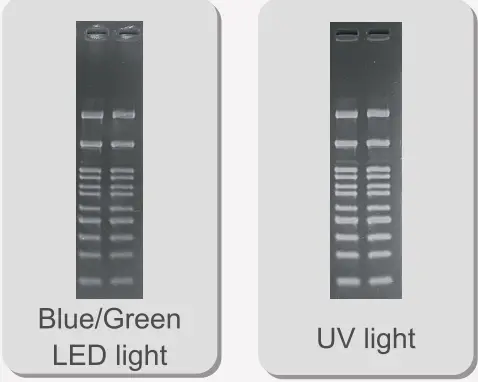 LB-18 ブルーグリーン vs UV